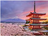 Trip to Japan